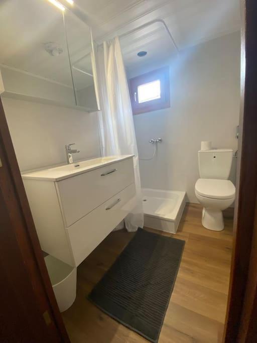 Cozy 2-bedroom Holiday home Unterseen